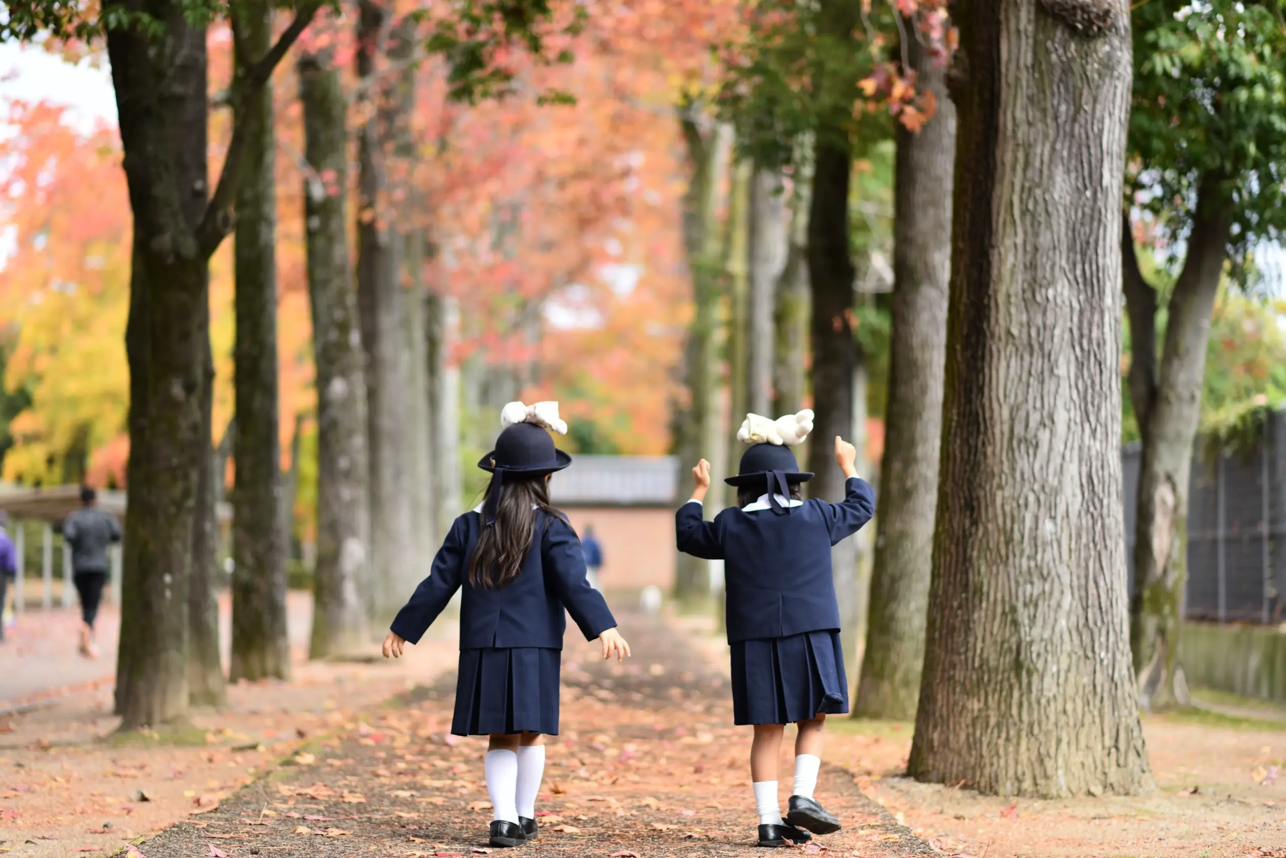 秋　こども　公園　紅葉　岡山　メタセコイヤ